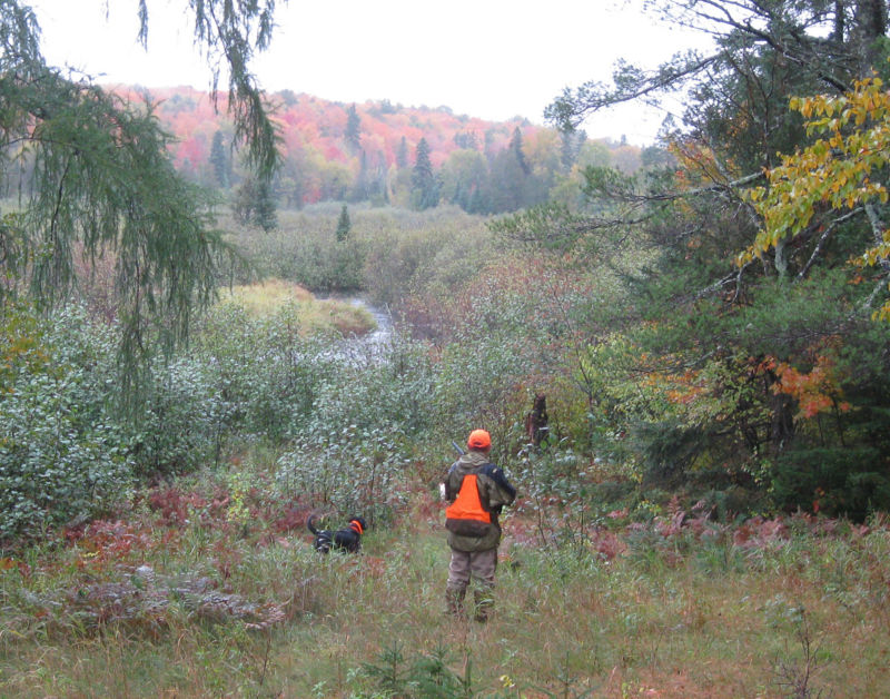 14J7_Mark_Nissen_Main