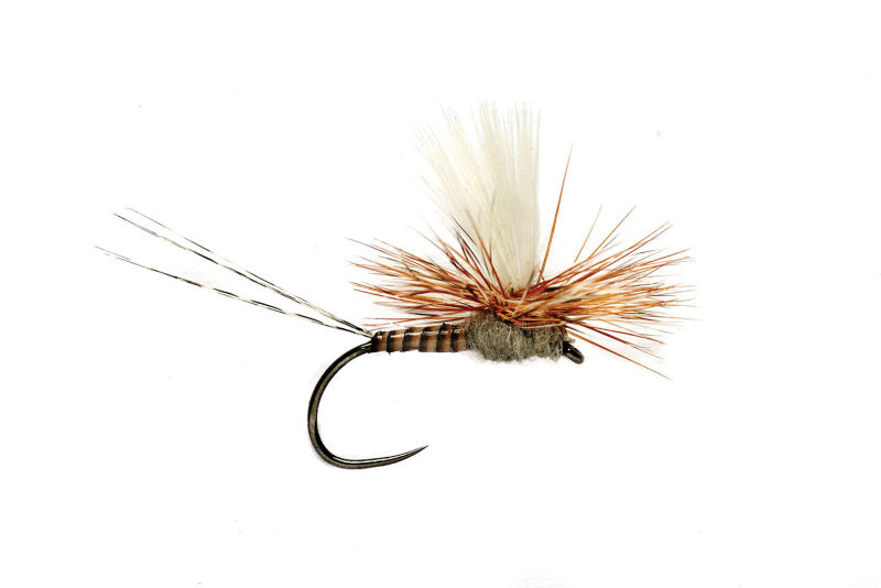 18S8099W_