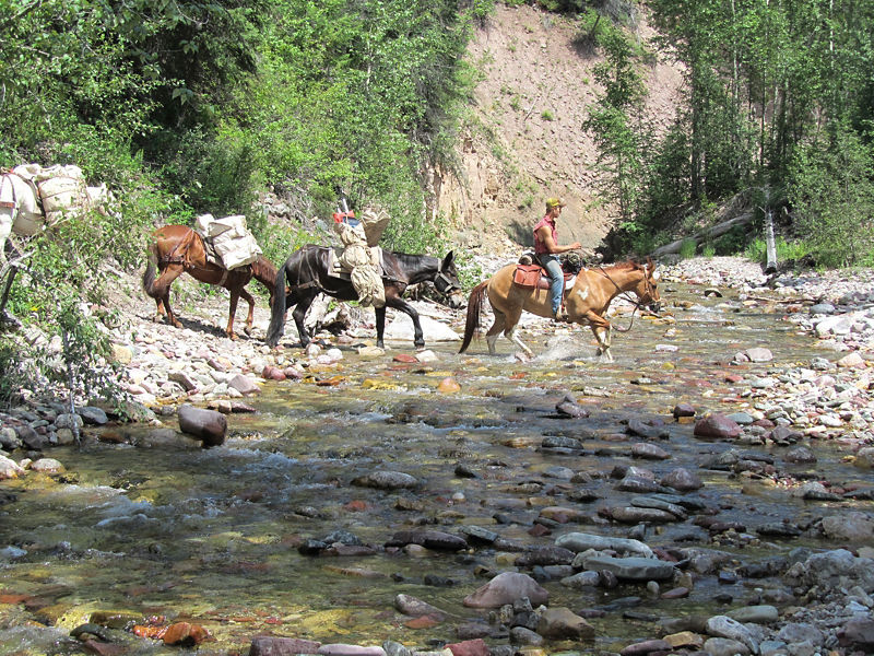 1H70_Bob_Marshall_Wilderness_Trip_1