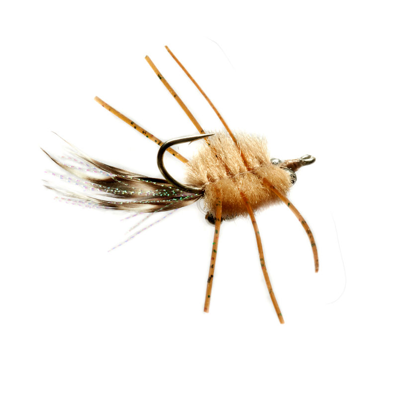 1X57019W_