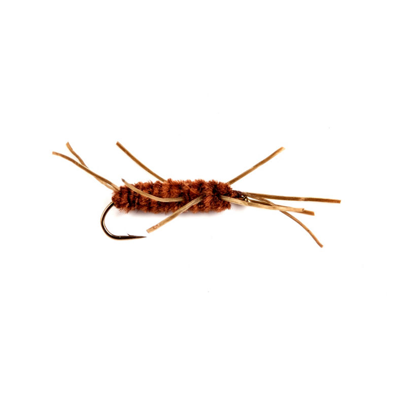 27NZ029W_