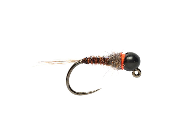 28CS0220W_W-1