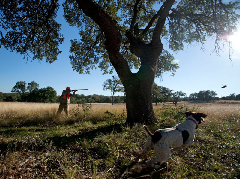 2A7M_HuntJoshua_Creek_Ranch_1
