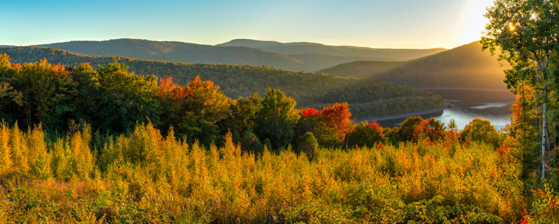 2NEH_Catskill_Casts_And_Coverts