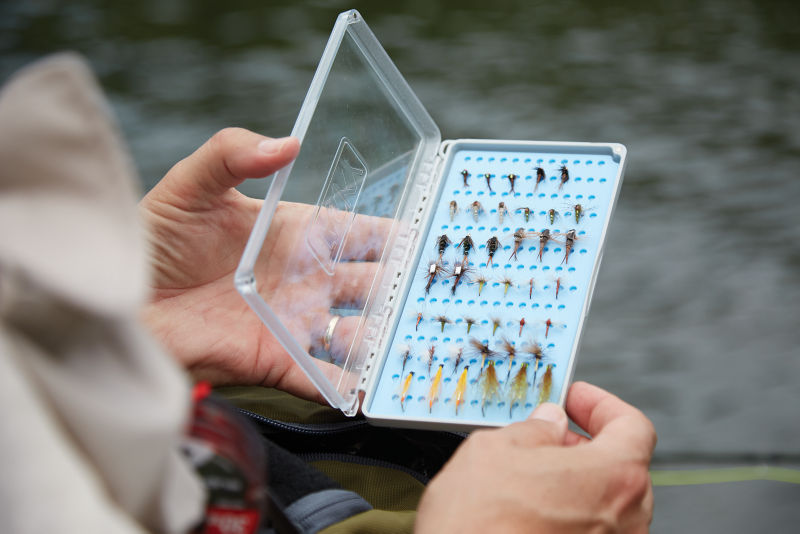 2RH9_Trout_Combo_School_3