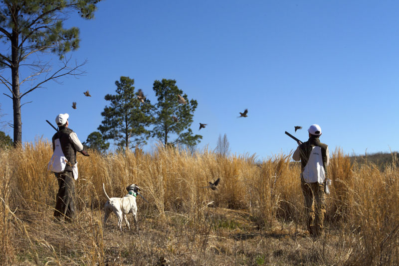 2X40_Fishing_Creek_Farms_Main