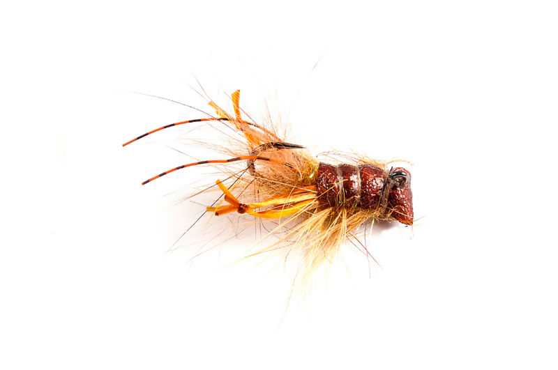 3BJE0221W_W