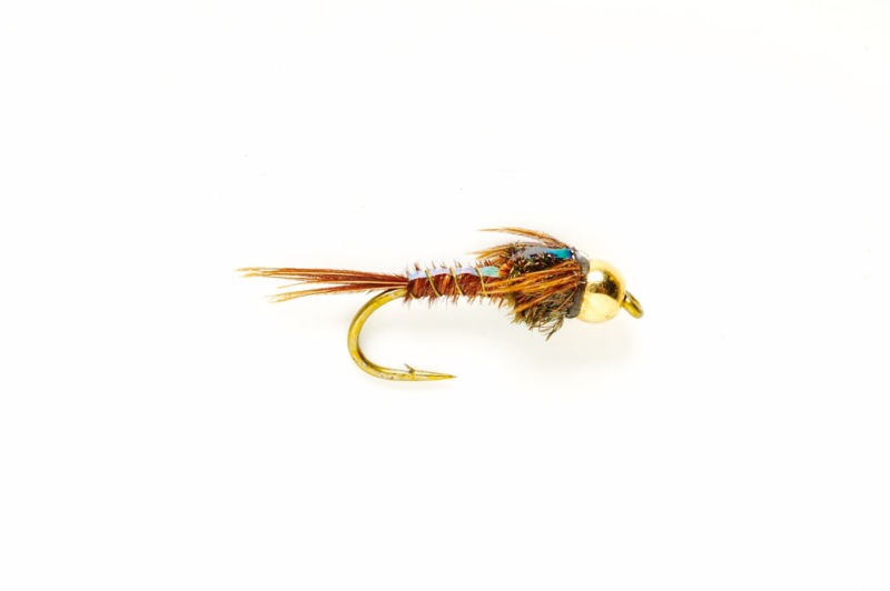63LR029W_
