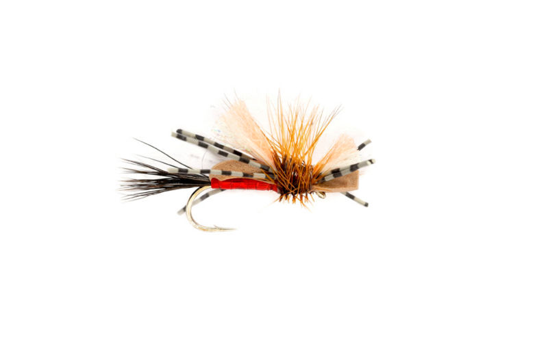 7R50069W_