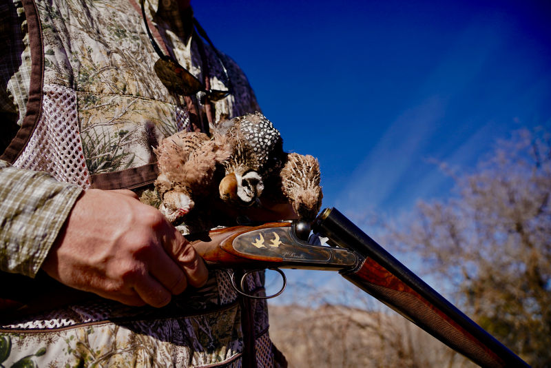 8E3R_Dave_Brown_Outfitters_AZ_Quail_Guides