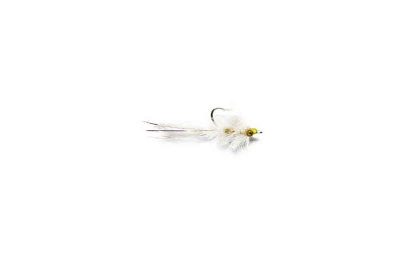 96AH219W_